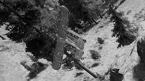 Far Cry 5: When the friendly AI is broken