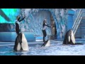 Sea World Shamu Show with Dawn Brancheau- 3 days before she was killed by an orca!!!