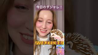 ネズミのステッカーを貼ったらハリネズミになる?