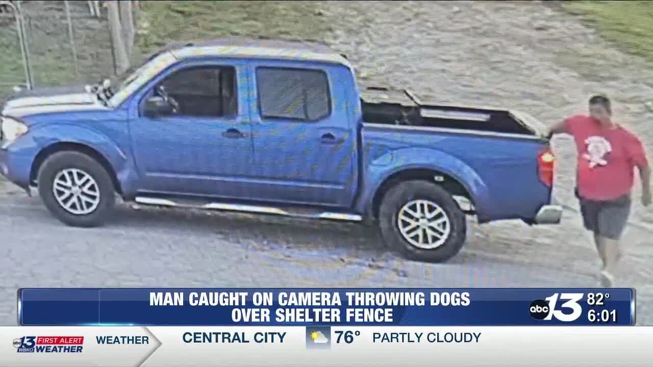 Man arrested for throwing dogs over fence at local shelter - YouTube