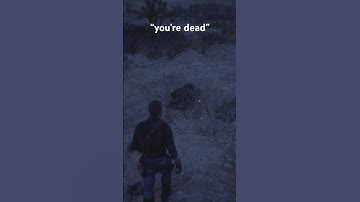 When The Game Is Almost Too Realistic… Red Dead Redemption 2