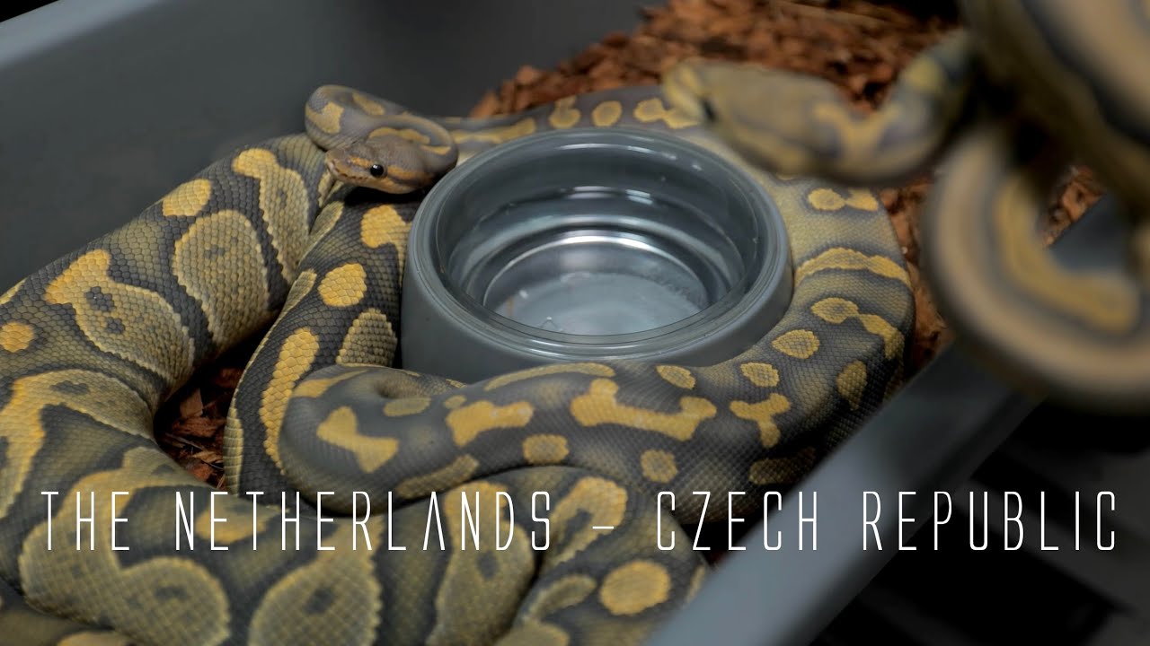 EU Tour Part3【The Netherlands - Czech Republic】