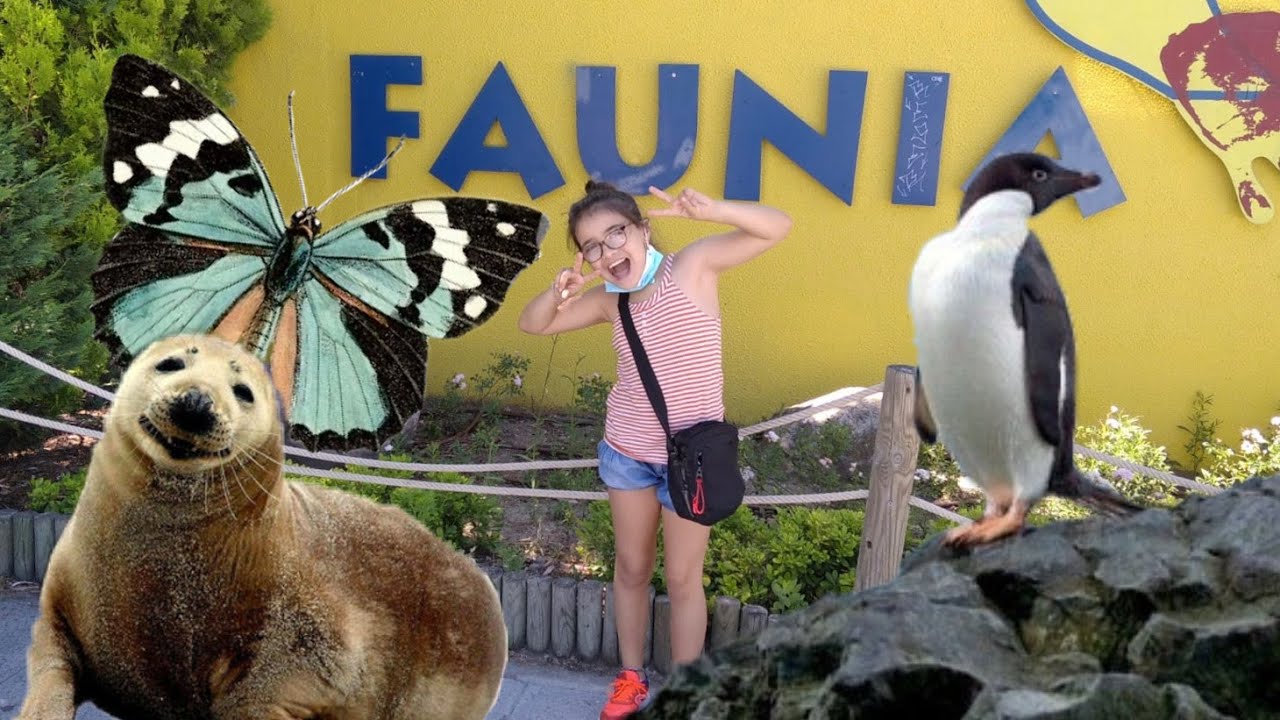 Que Es Mejor Faunia O Zoo