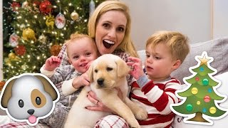 NEW PUPPY HOLIDAY SURPRISE! 🐶