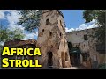 Africa Relaxing Stroll at Disney's Animal Kingdom - Walt Disney World