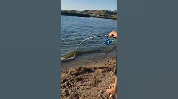 Great 7 Years Old Catch White Fish عمره ٧ سنين وصاد السمك الابيض ماشاء الله 