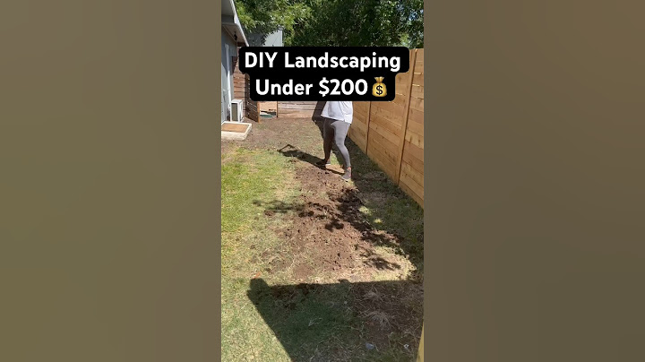 Budget-Friendly Landscaping: Creative Ideas for Under $200
