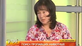 Поиск пропавших животных. Утро с Губернией. 10/07/2017. GuberniaTV Поиск пропавших животных. Утро с Губернией. 10/07/2017. GuberniaTV
