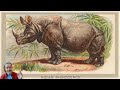 Superiority of solitude in early buddhism the rhinoceros sutta