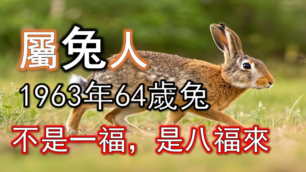 1963年屬兔人，八福臨門別錯過，這一年不是一福，是八福一起來。#生肖兔#屬兔人#1963 兔