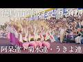 【阿波踊り2026】徳島市阿波おどり2026 阿呆連・菊水連・うきよ連｜阿呆調・二枚うちわ・うきよ笛 | Awaodori in Tokushima, Japan