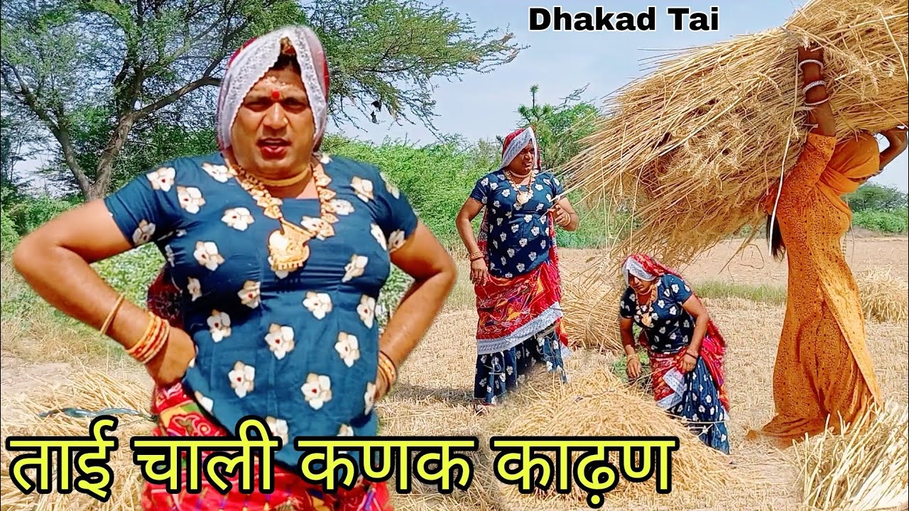 ताई चाली कणक काढ़ण हरियाणवी राजस्थानी कोमेडी नाटक @DhakadTai