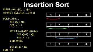 Celebrity Insertion Sort - Computer Science Net Worth