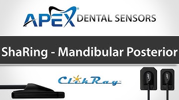 ShaRing Positioning - Mandibular-Posterior - ClikRay - Apex Dental Sensors - Training