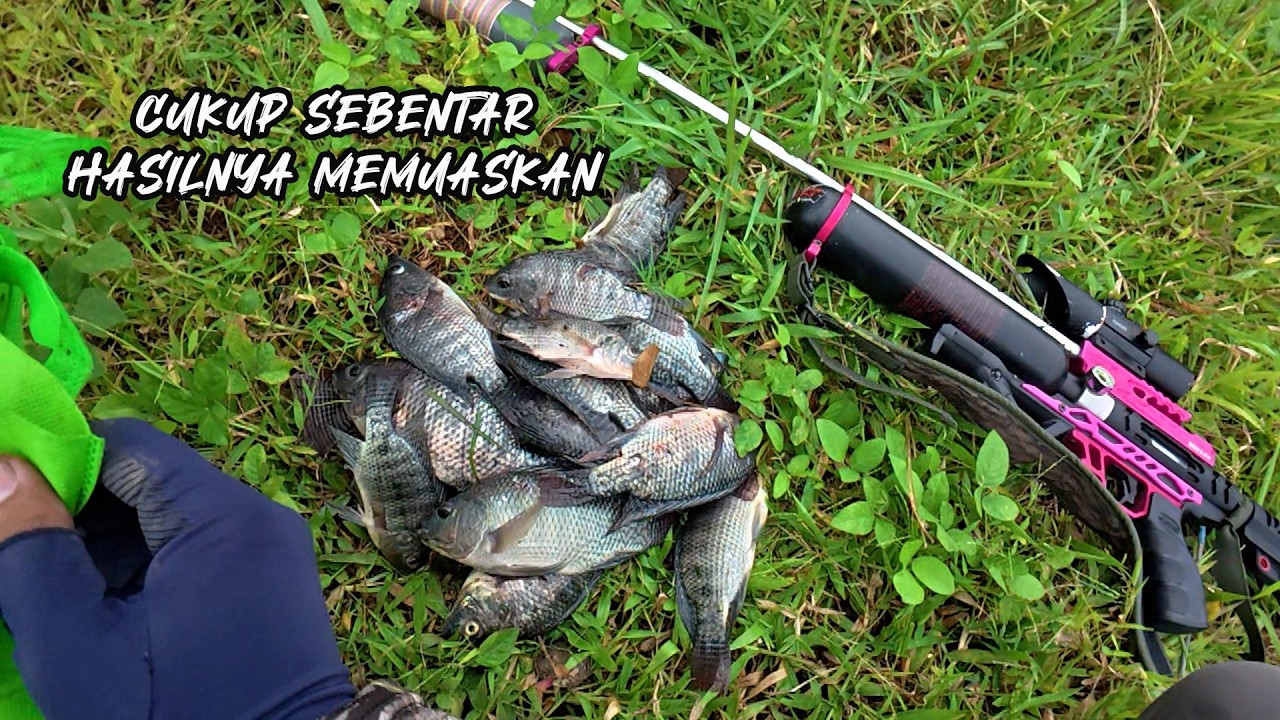 MASER DI SPOT YANG SAMA, YANG PENTING HASILNYA #paserikan #fishing