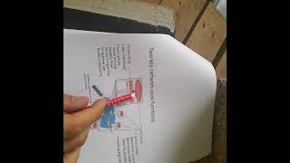 ما هو الفرق بين ال  forwarding vs routring