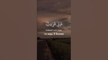 تلاوة خاشعة ومؤثرة #قران #اكسبلور #المصحف #لا_اله_الا_الله #راحة_نفسية #لايك