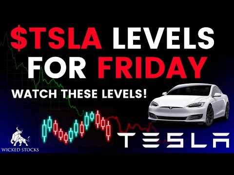 Tesla Stock Price Analysis Key Levels And Signals For Friday August 25th 2023 