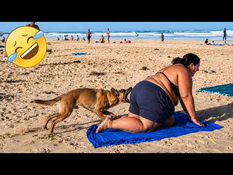 Try Not To Laugh Challenge 😂 Funniest Fails & Memes Compilation 2026 #4