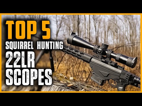 Best Scope For 22lr Squirrel Hunting | Top 5 Best Rimfire Scope For 22LR In 2023