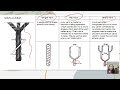 Yarn classification / Yarn types #ugcnethomescience #ugcnet2026 