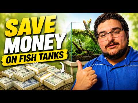 you can save HUNDREDS on your next fish tank..
