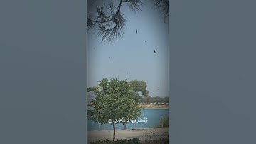 #اكسبلور #المصحف #دويتو آيات قصيرة من القرآن حالات واتس آب