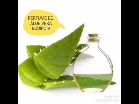 Como hacer jabón de aloe vera