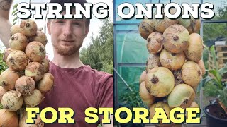 How to: String Onions for storing | Allotment UK | Gardening For Beginners