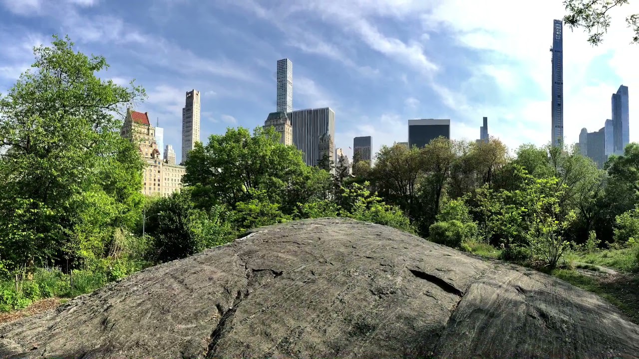 Central Park in Springtime - Tulip Gardens - New Native Meadow Trail Views- New York April 4, 2021.