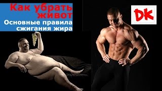 Как убрать живот. Основные правила сжигания жира Как убрать живот. Основные правила сжигания жира