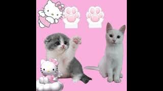 Tell me ~sped up~ (wonder girls)