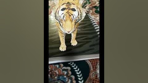 Google 3d Animals view in your space | whatdigi