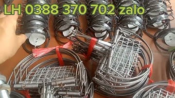 mẫu cạm kiềng, đánh chuột, chồn, cầy, cáo mèo, bạc má, lợn rừng, LH 0335 483 048#