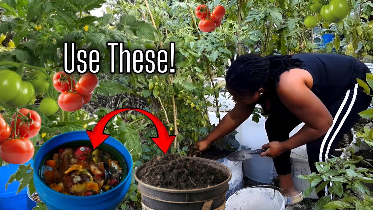 После использования всего лишь этих двух органических удобрений ваши растения будут буквально пло...