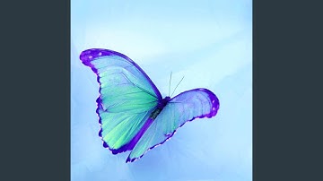 Inspiring Moods for Courageous Journey