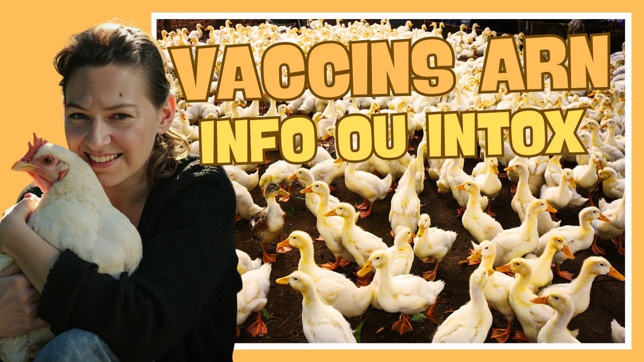 🦆 Vaccins ARNm des animaux d'élevage : INFO ou INTOX