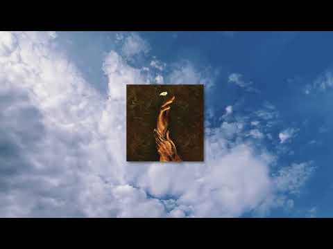 Do I Wanna Know Hozier Sped Up Reverb