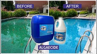 POOLO: Strong algicide | Algae control for swimming pools | Pool maintenance chemical