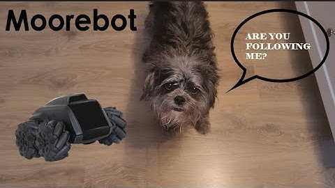 🤖 "Scout by Moorebot: Your Smart AI Companion Unveiled | In-Depth Review and Demo!" 🌐🚀