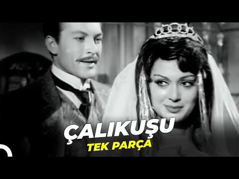 Çalıkuşu | Türkan Şoray Yeşilçam Filmi Tek Parça