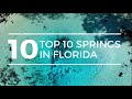 Top 10 springs in florida  best florida springs  florida springs  ginnie springs