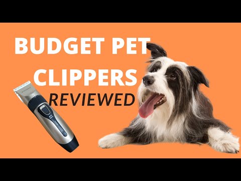 bonve pet dog clippers