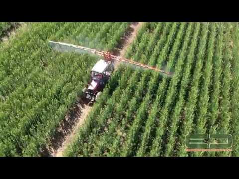 Video: Viride, A Nursery Of Fruit And Ornamental Plants In The Gatchina Region