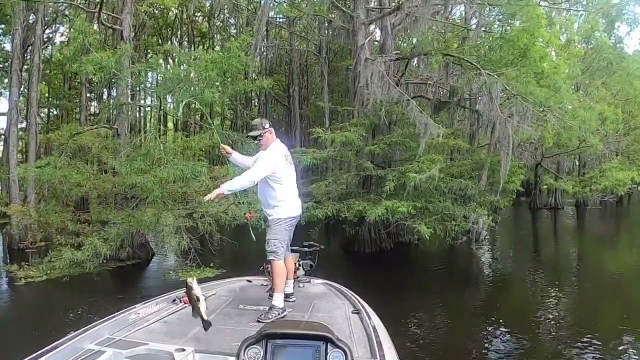Quick Trip to Lake Bistineau #bass #fishing #bassfishing #largemouthbass