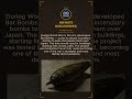 Bat Bombs Secret Weapon of WWII