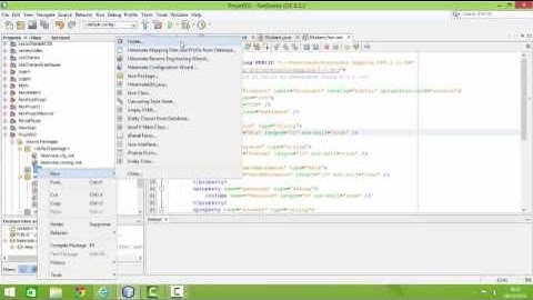 Hibernate with NetBeans