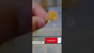 gold ring latest design #shortvideo #viralvideo #shortsfeed #shortsviral #viral #trendingshorts#gold