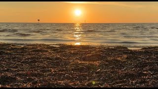 Hernando County Highlights: 2025 End-of-Year Recap