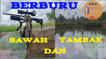 HUNTING BIRDS IN RICE FIELDS AND POND PONDS‼️THIN TRIP - THIN